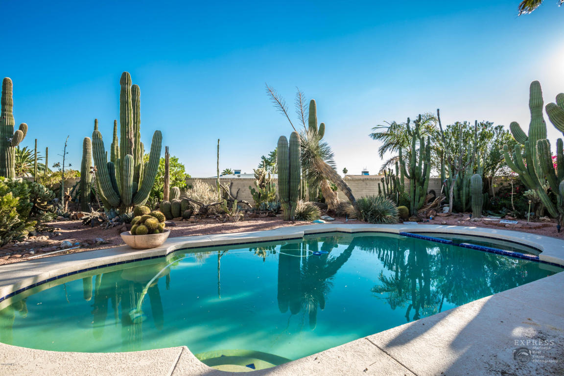 5301 Enrose St, Mesa, AZ 85205 photo 25