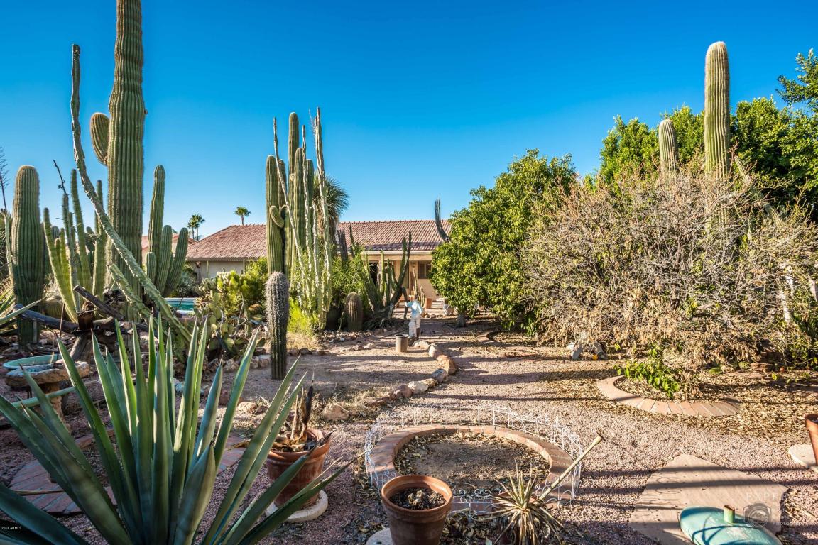 5301 Enrose St, Mesa, AZ 85205 photo 29