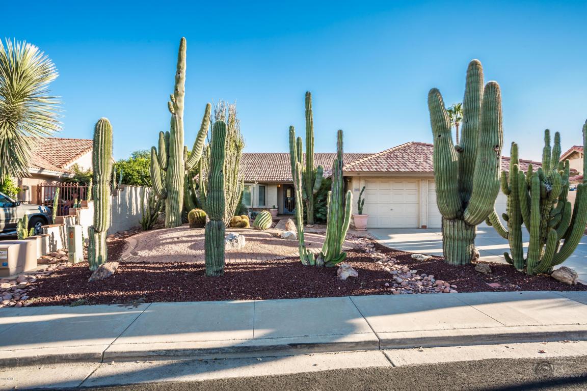 5301 Enrose St, Mesa, AZ 85205 photo 3