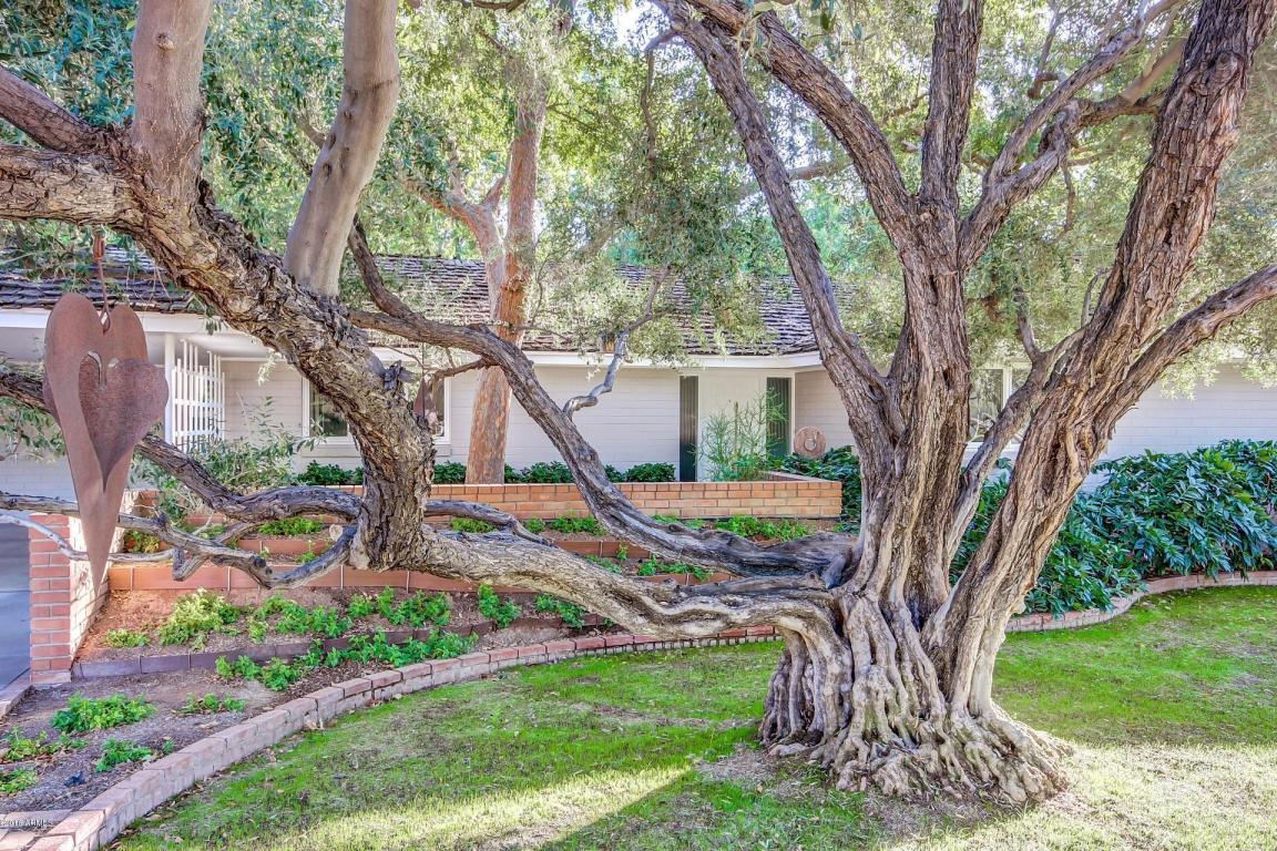 17 W State Ave, Phoenix, AZ 85021 photo 2