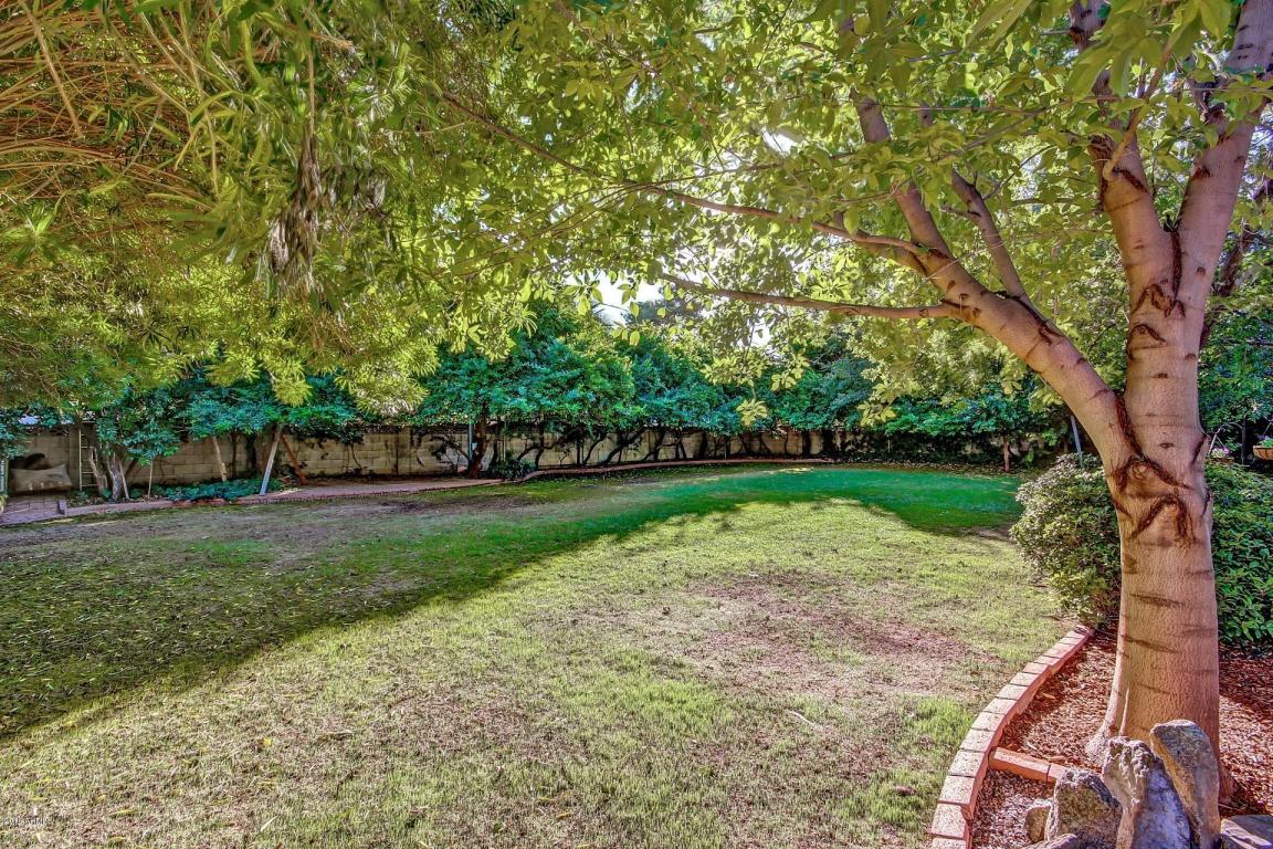 17 W State Ave, Phoenix, AZ 85021 photo 38
