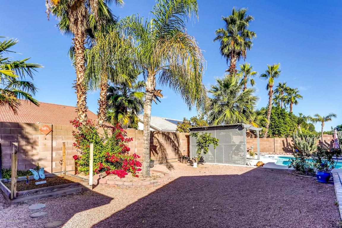 424 E Le Marche Ave, Phoenix, AZ 85022 photo 24