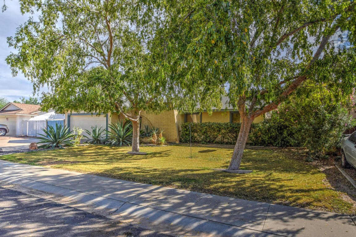 509 E Bendix Dr, Tempe, AZ 85283 photo 4