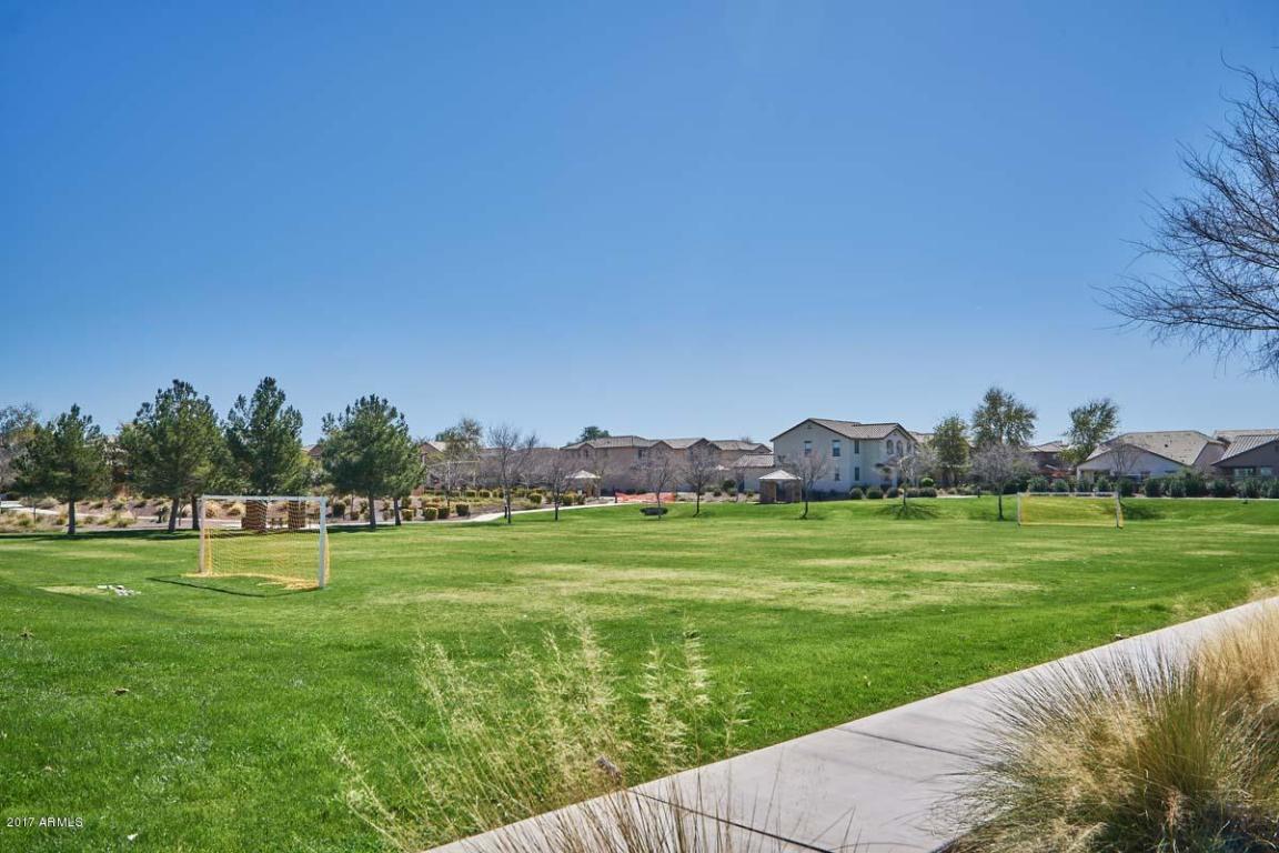 874 S Pheasant Dr, Gilbert, AZ 85296 photo 8
