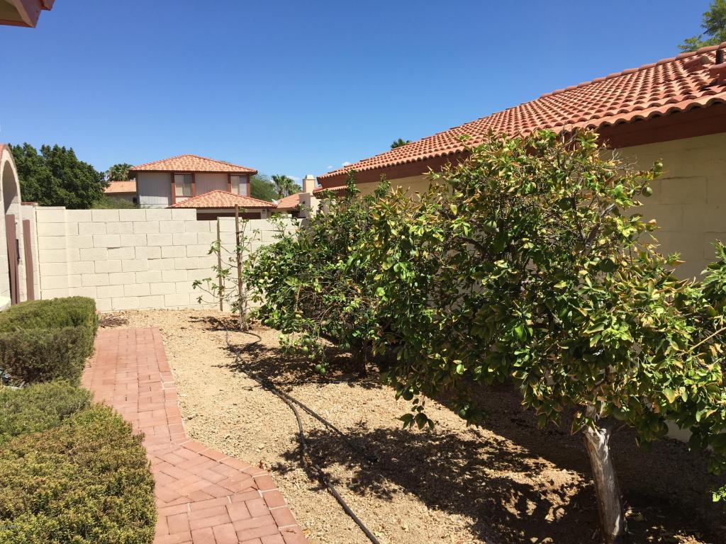 4401 E Monte Way, Phoenix, AZ 85044 photo 17