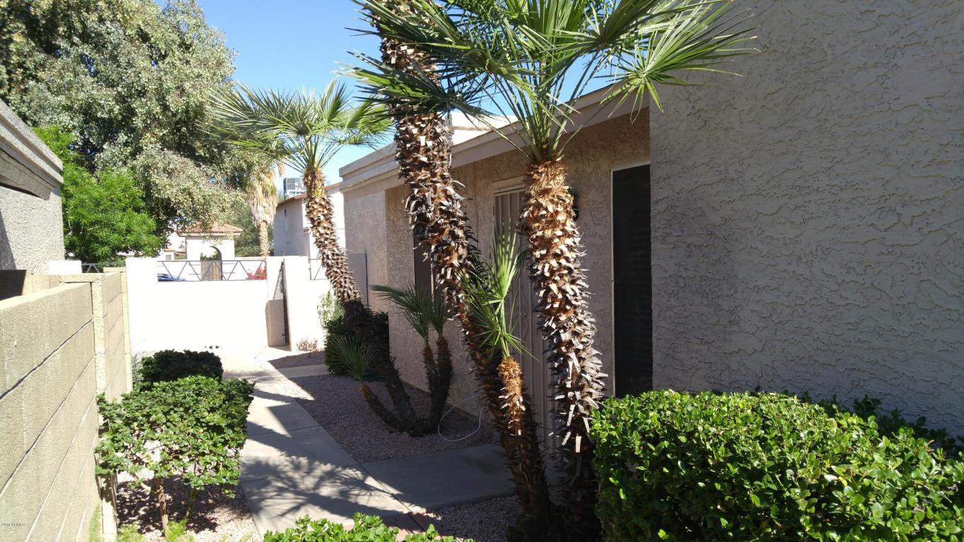 4211 E Caballero Cir, Mesa, AZ 85205 photo 3