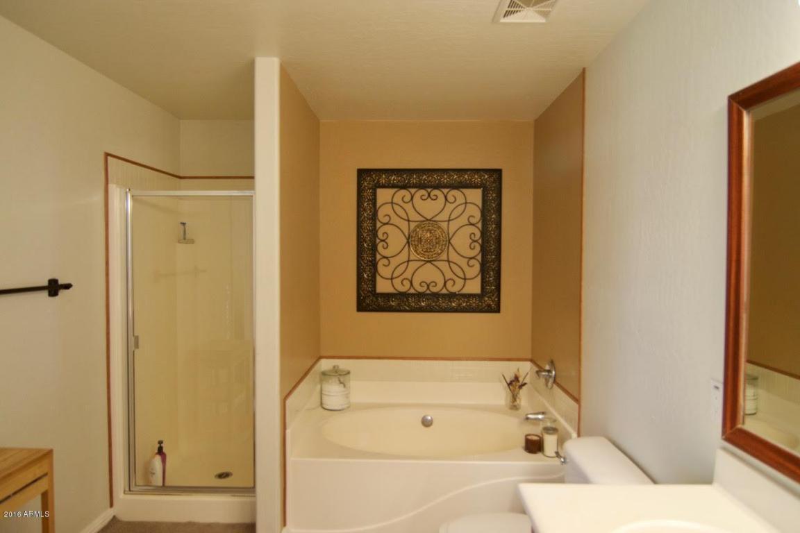 1333 E Pedro Rd, Phoenix, AZ 85042 photo 21