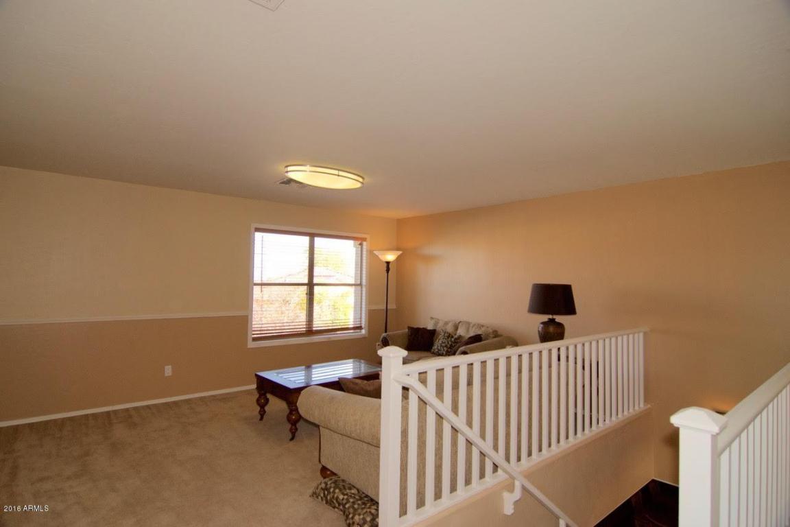 1333 E Pedro Rd, Phoenix, AZ 85042 photo 17