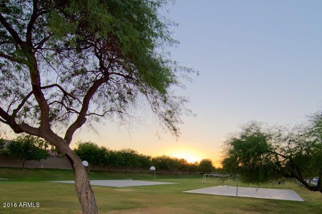 1333 E Pedro Rd, Phoenix, AZ 85042 photo 32