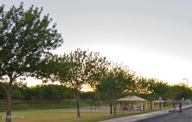 1333 E Pedro Rd, Phoenix, AZ 85042 photo 30