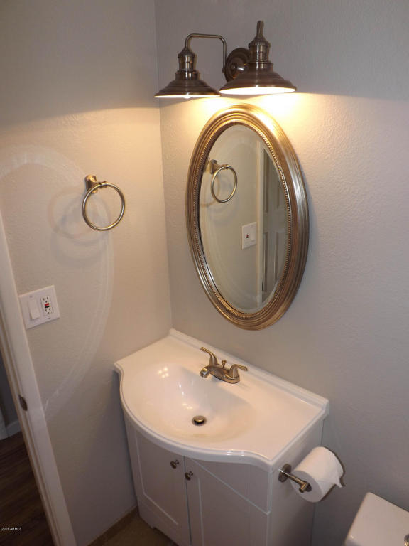 2919 E Dahlia Dr, Phoenix, AZ 85032 photo 23