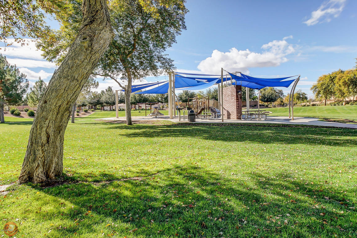 3712 E Fruitvale Ave, Gilbert, AZ 85297 photo 49