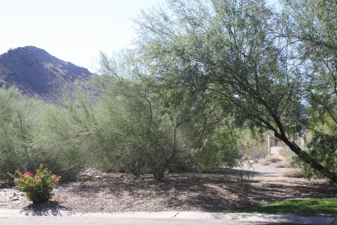 3418 E Dunlap Ave, Phoenix, AZ 85028 photo 25