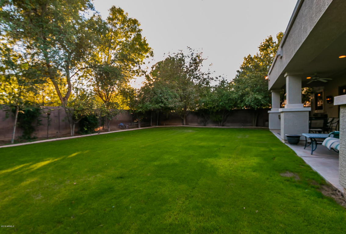 421 E Phelps St, Gilbert, AZ 85295 photo 11