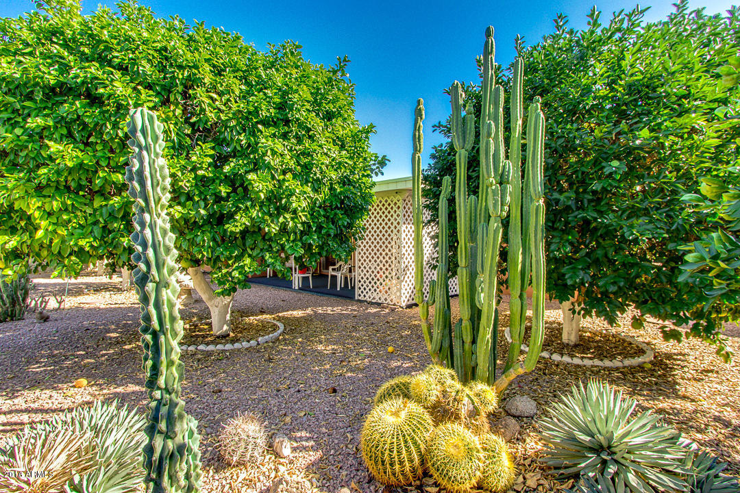 4050 E Concho Ave, Mesa, AZ 85206 photo 26