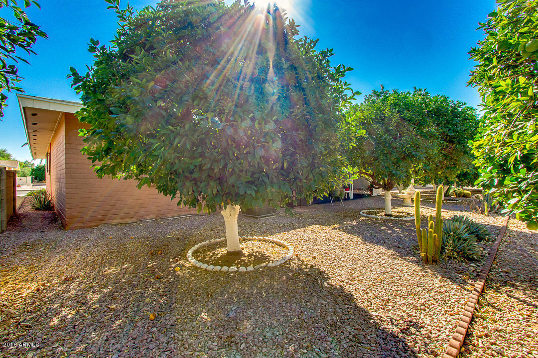 4050 E Concho Ave, Mesa, AZ 85206 photo 28