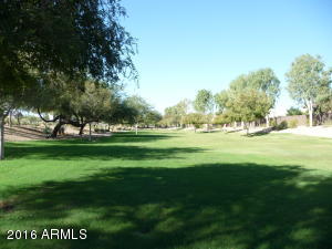 16639 W Taylor St, Goodyear, AZ 85338 photo 20