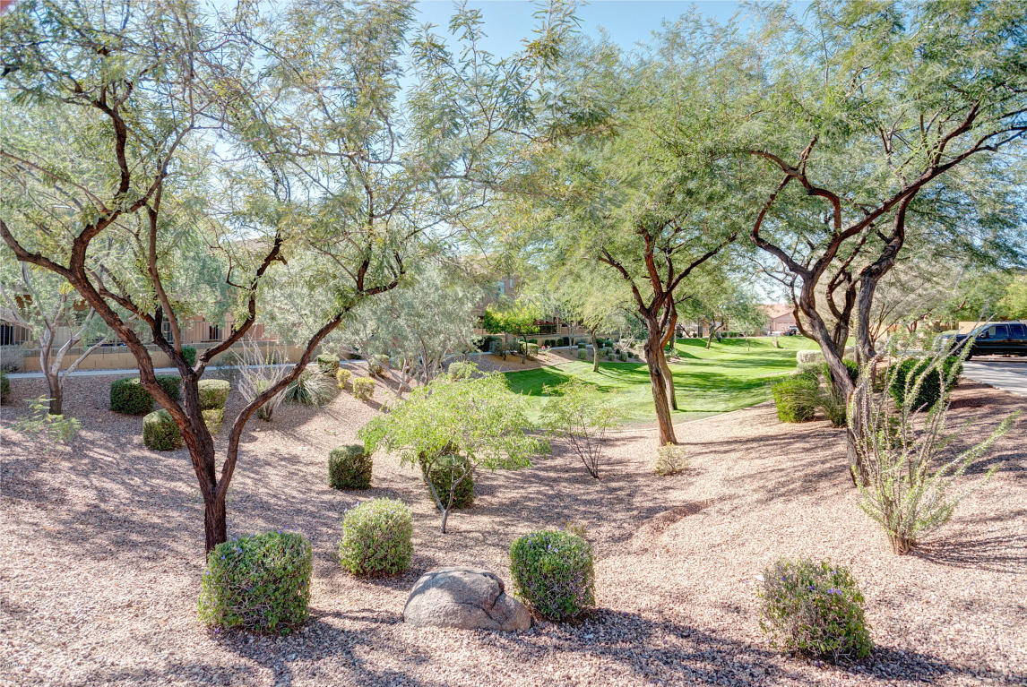 2250 E Deer Valley Rd #38, Phoenix, AZ 85024 photo 4