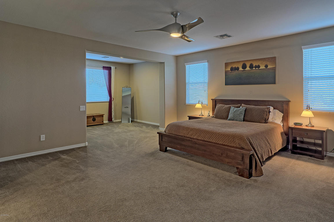 3630 E Half Hitch Pl, Phoenix, AZ 85050 photo 9