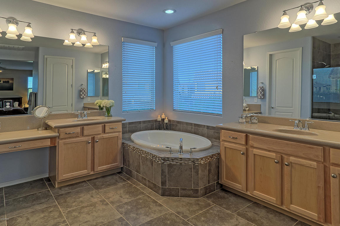 3630 E Half Hitch Pl, Phoenix, AZ 85050 photo 11