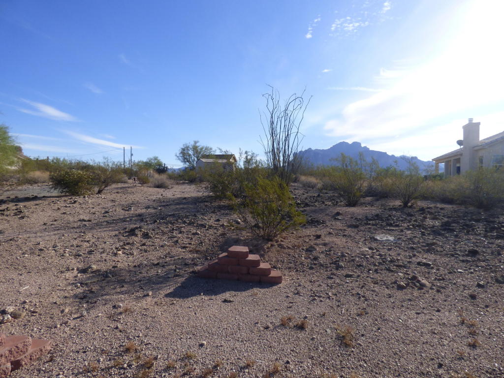 1480 E Whiteley St, Apache Junction, AZ 85119 photo 14
