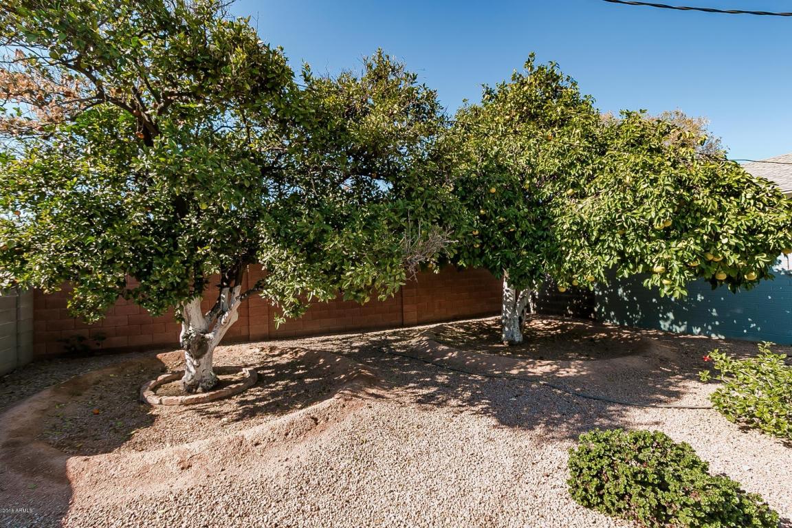 635 E 6th Pl, Mesa, AZ 85203 photo 28