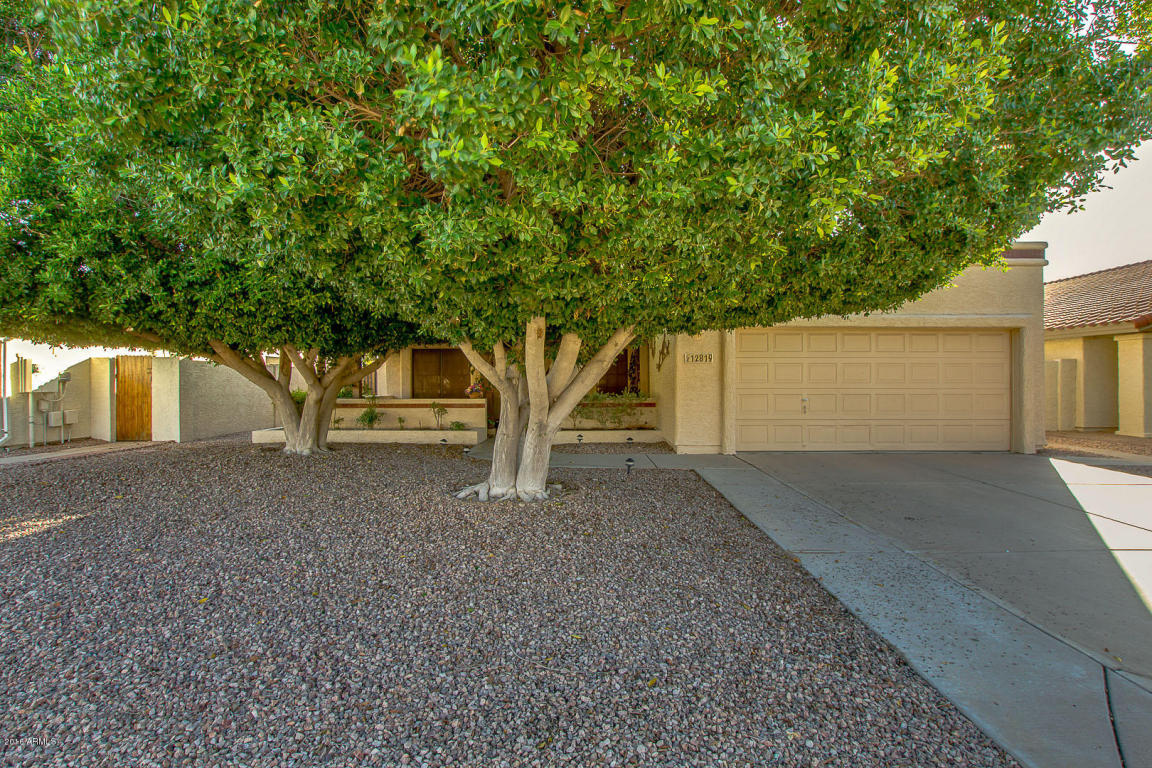 12819 S 40th Pl, Phoenix, AZ 85044 photo 1