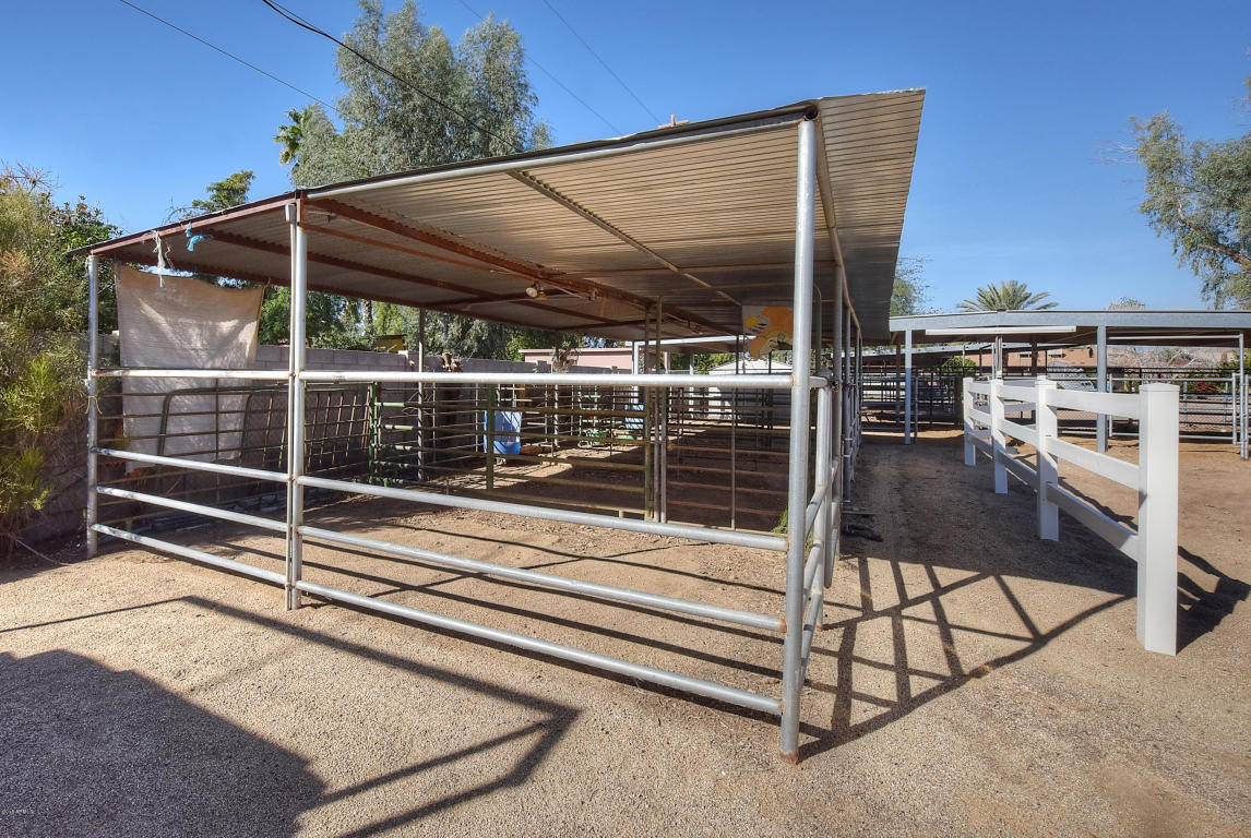 846 E Roberts Rd, Phoenix, AZ 85022 photo 5