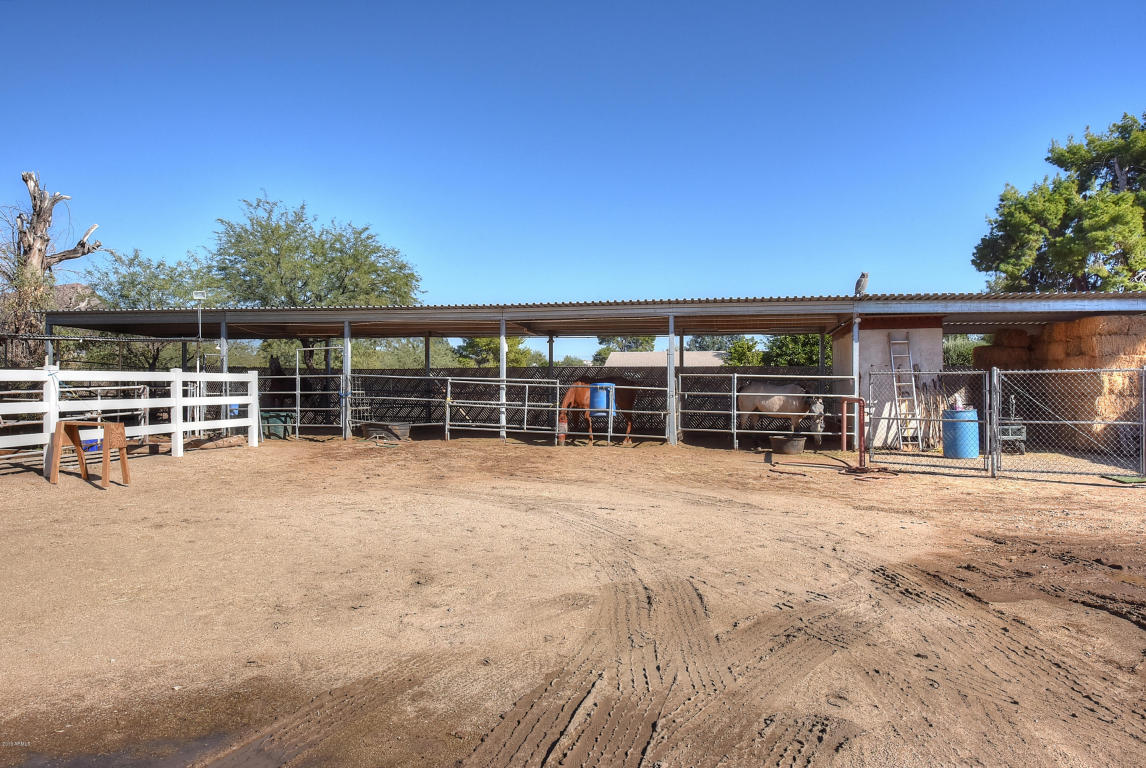 846 E Roberts Rd, Phoenix, AZ 85022 photo 4