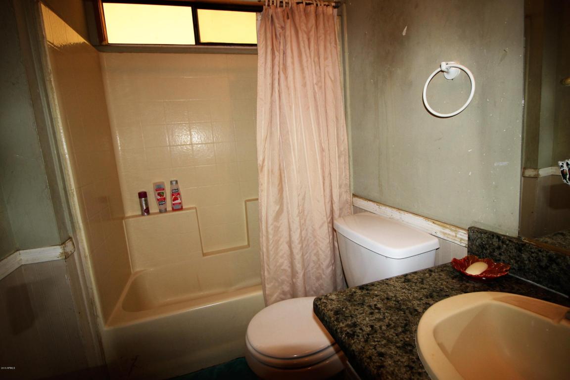 481 S Smythe Dr, Apache Junction, AZ 85120 photo 15