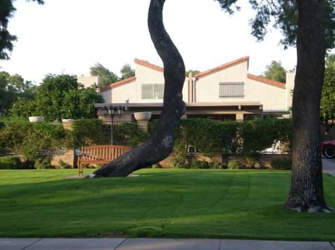 5548 N 5th Ln, Phoenix, AZ 85013 photo 18