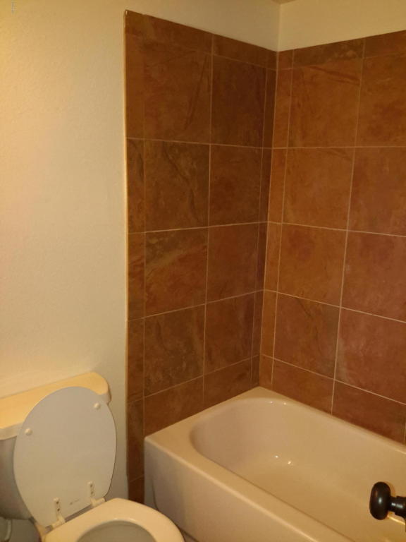 3219 E Sheridan St, Phoenix, AZ 85008 photo 15