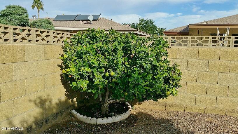 6528 E Boston St, Mesa, AZ 85205 photo 22