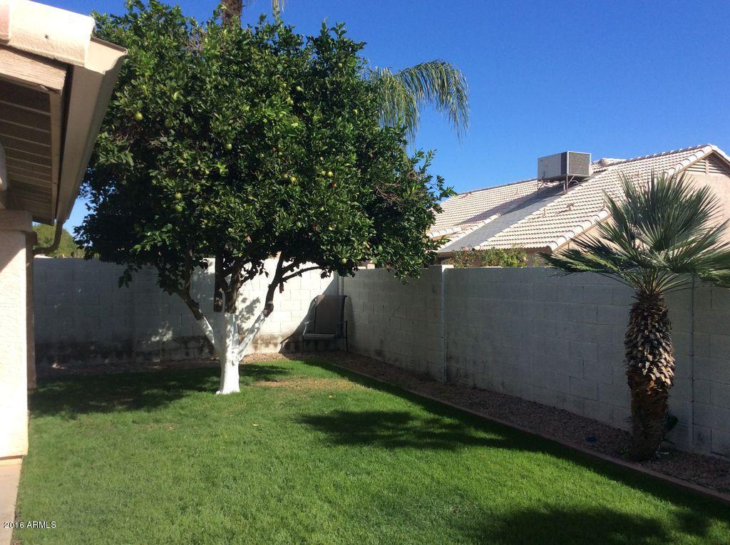 4037 Encinas Ave, Gilbert, AZ 85234 photo 9