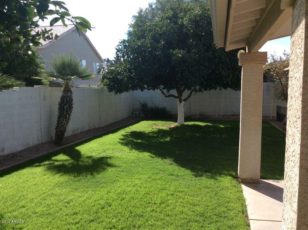 4037 Encinas Ave, Gilbert, AZ 85234 photo 8