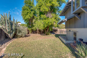 1328 E Carter Dr, Tempe, AZ 85282 photo 35