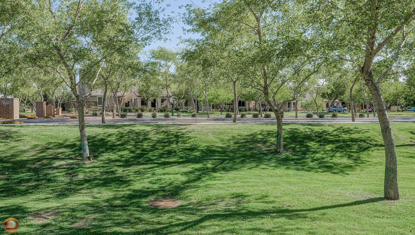 3859 E Santa Fe Ln, Gilbert, AZ 85297 photo 32