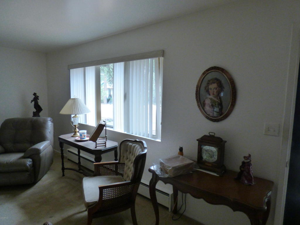 214 E Chateau Cir, Payson, AZ 85541 photo 19