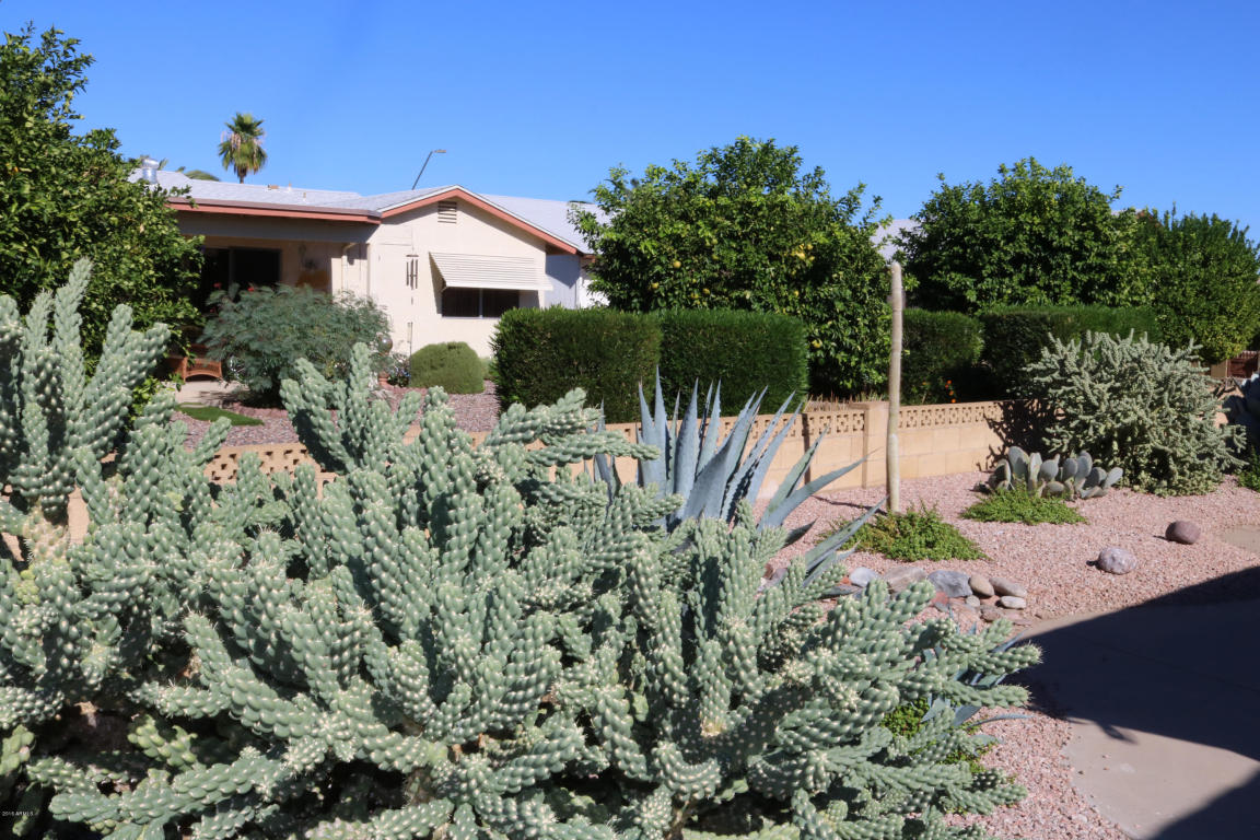 8308 Edgewood Ave, Mesa, AZ 85208 photo 20