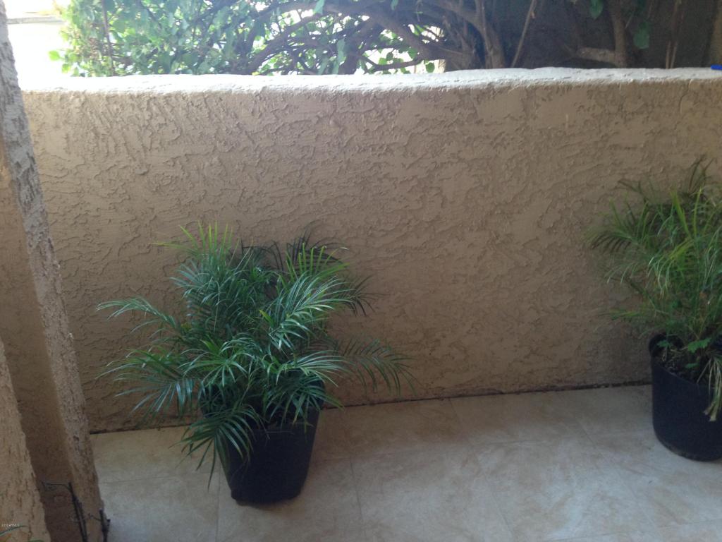 5102 N 31st Pl #418, Phoenix, AZ 85016 photo 31