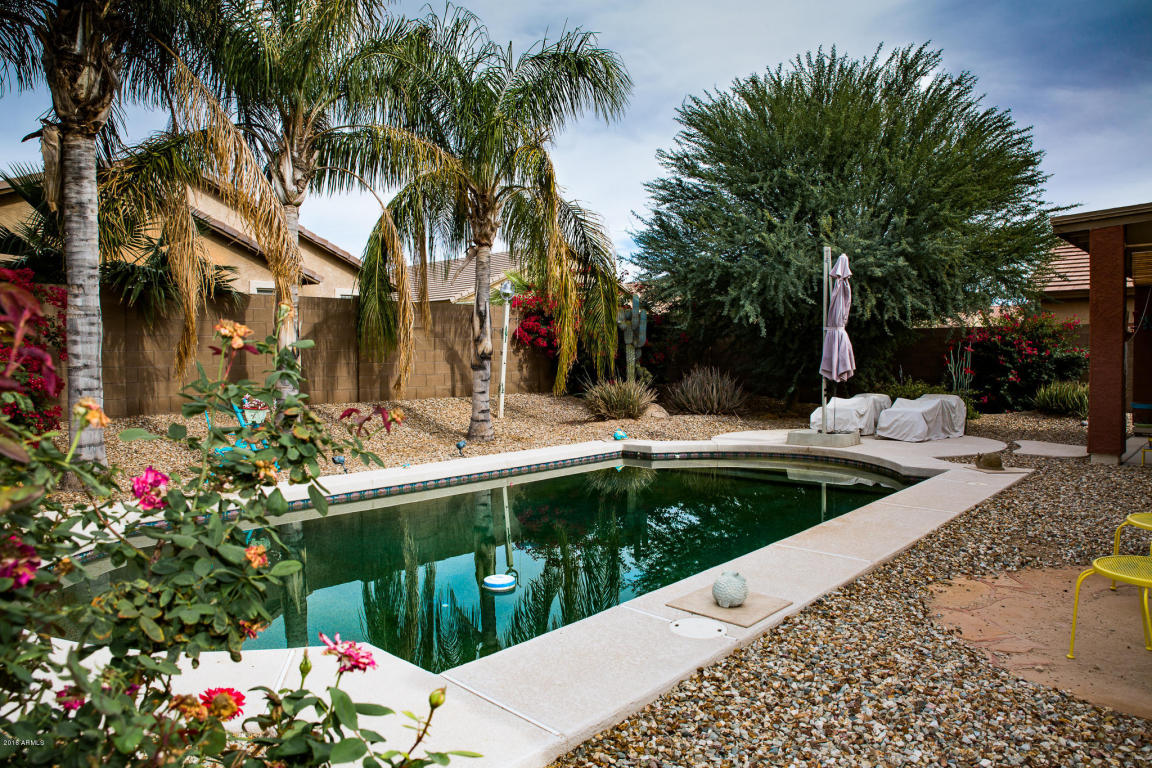 4916 E Thunderbird Dr, Chandler, AZ 85249 photo 22