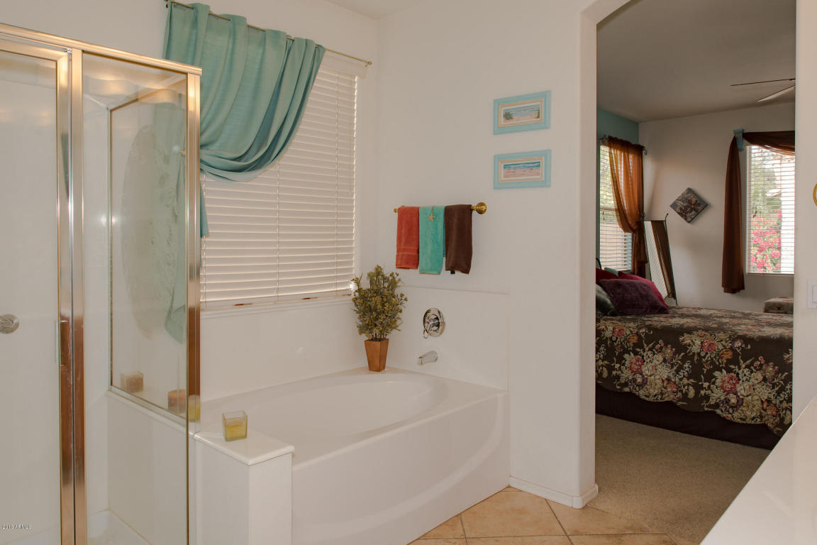 4916 E Thunderbird Dr, Chandler, AZ 85249 photo 13