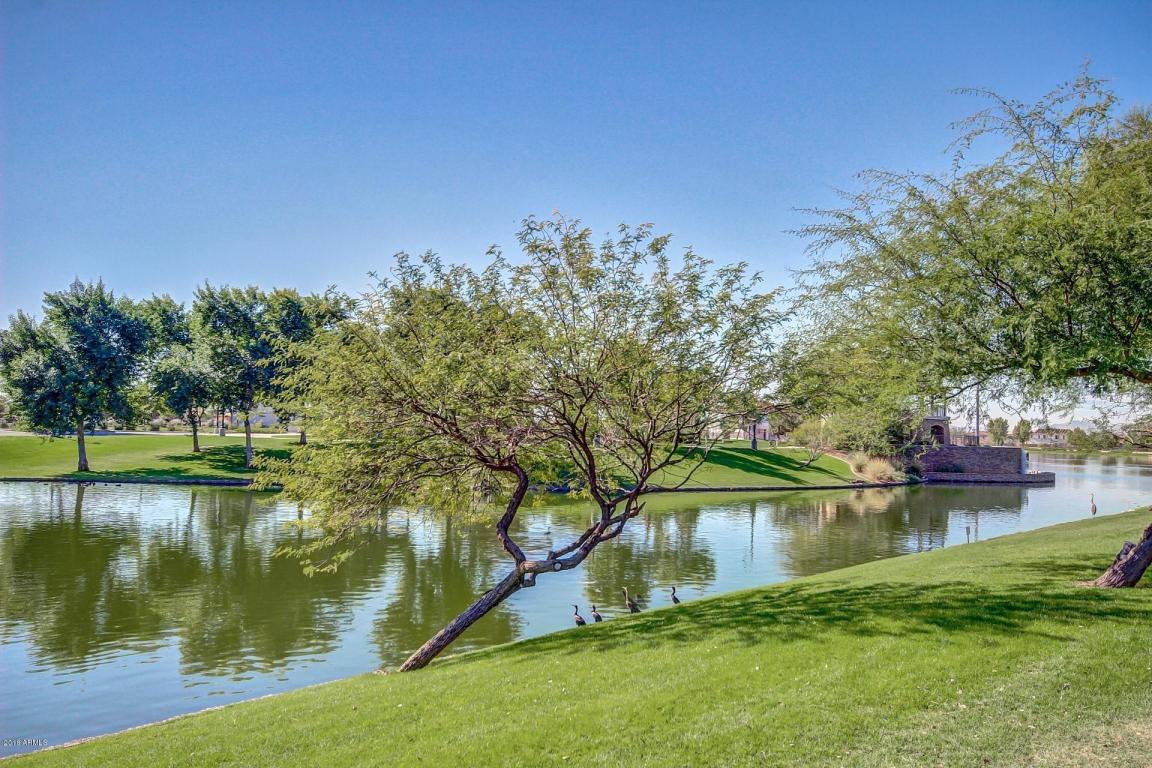 991 Euclid Ave, Gilbert, AZ 85297 photo 66