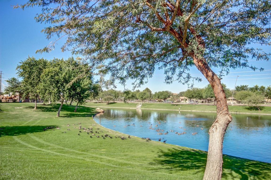 991 Euclid Ave, Gilbert, AZ 85297 photo 64
