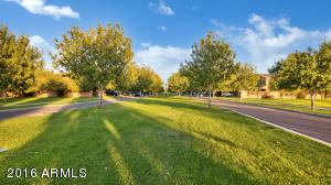 4218 E Cotton Ct, Gilbert, AZ 85234 photo 51