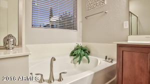 4218 E Cotton Ct, Gilbert, AZ 85234 photo 34