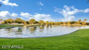 4218 E Cotton Ct, Gilbert, AZ 85234 photo 49
