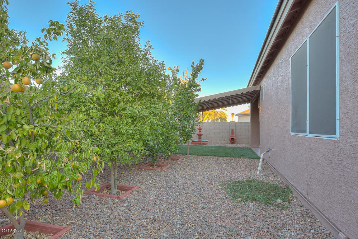 516 E Lydia Ln, Phoenix, AZ 85042 photo 20