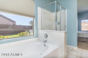 10508 E Pantera Ave, Mesa, AZ 85212 photo 14