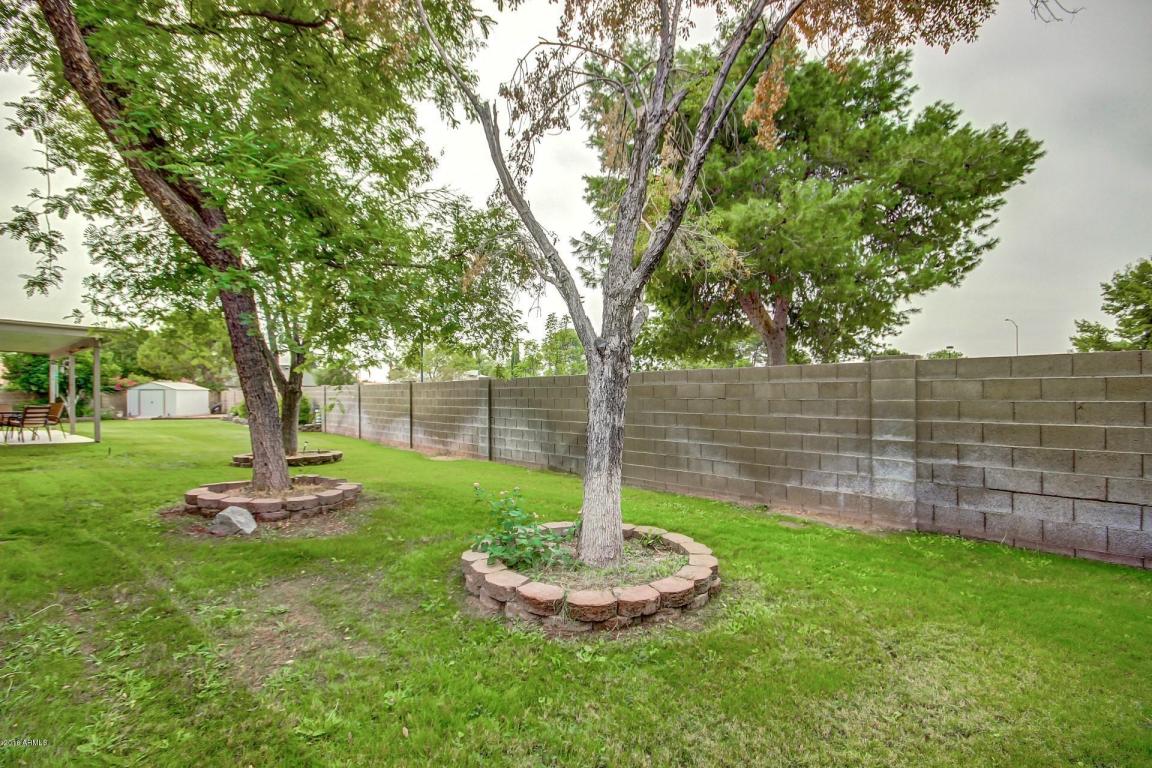 2441 E Lockwood Cir, Mesa, AZ 85213 photo 41